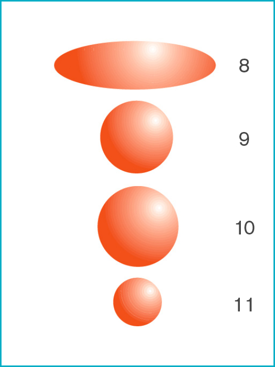 Movement_of_infecttion_diagram