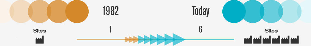 company-history-timeline-sites